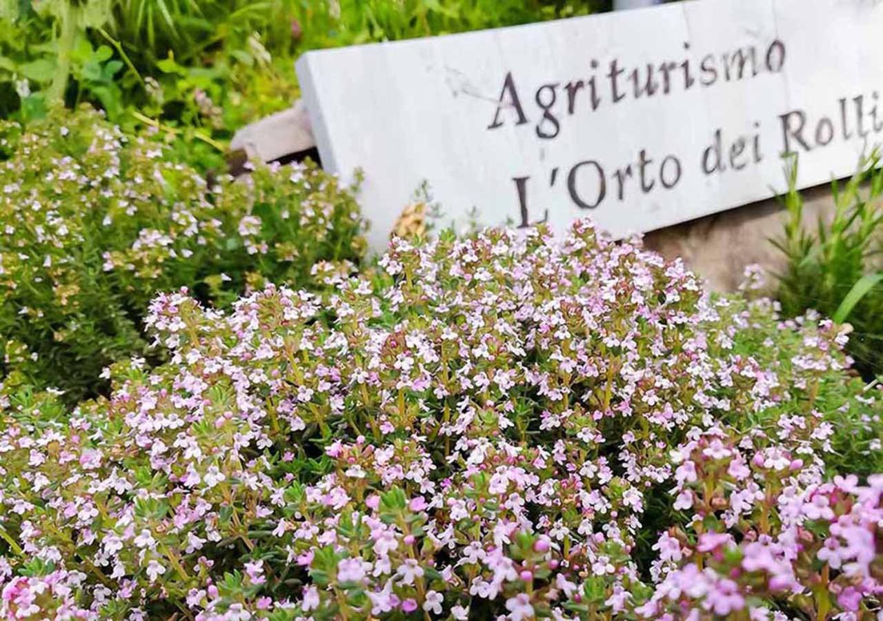 Agriturismo Orto Dei Rolli Villa Moneglia Exteriör bild